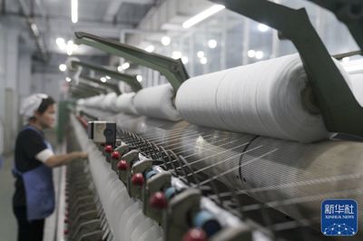 河北清河 羊絨之都產(chǎn)銷兩旺，紡紗銷售迎旺季