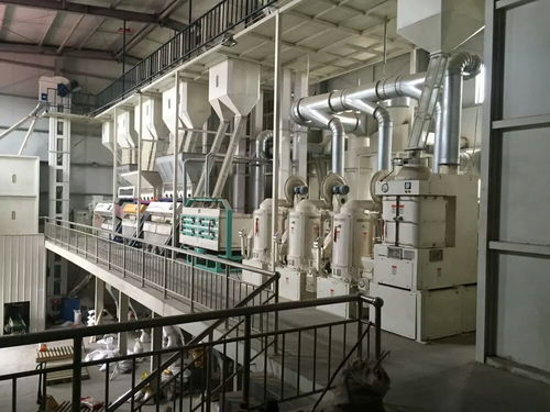 先進(jìn)成套玉米加工設(shè)備 驅(qū)動(dòng)玉米食品多元化與紡紗加工的革新引擎